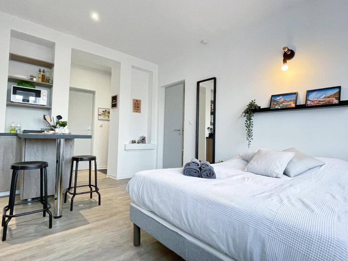 Le Paradis Fiscal, 5Min Bale, Parking Prive Saint-Louis  Kültér fotó